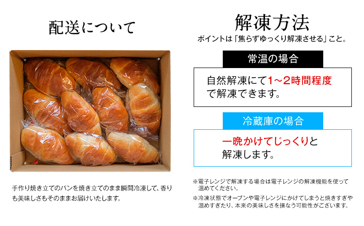 天然酵母 塩パン 10個 セット パン ローカルベーカリー《7-14営業日以内に出荷予定(土日祝除く)》焼きたてを急速冷凍 手作り 天然酵母パン 朝ごはん おやつ 軽食 ランチ 北海道 本別町---h