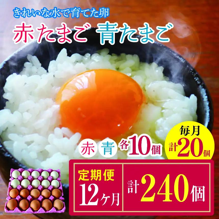 【12回定期便】きれいな水で育てた卵 赤たまご 青たまご（ アローカナ ）ミックス 各10個 計20個  | 保坂農場