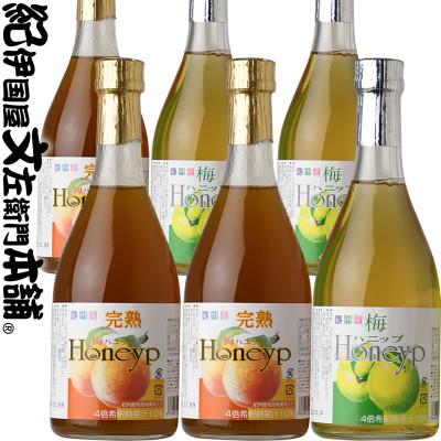 ふるさと納税 湯浅町 梅ハニップ 完熟梅ハニップ 6本セット【緑3本/赤3本】希釈用梅ドリンク(F012)