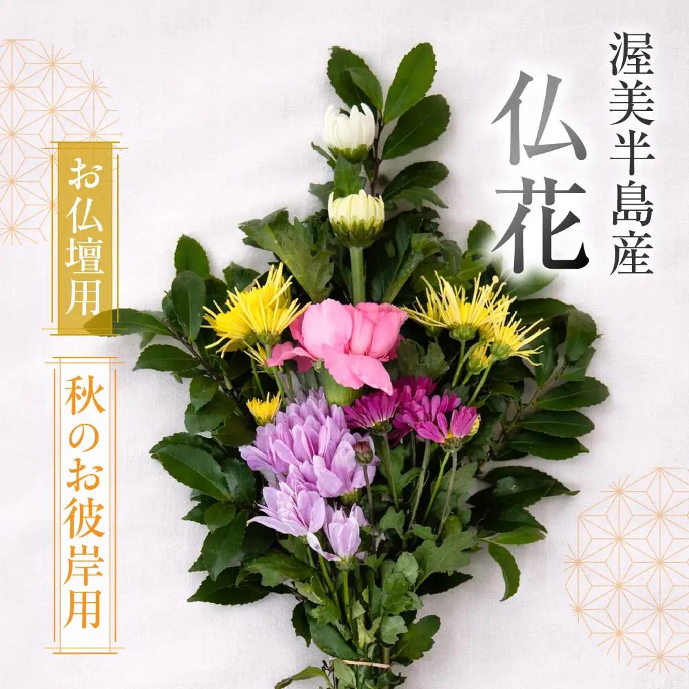 【お彼岸用　秋】産地直送 《お仏壇用》 仏花 日時指定可 生産額 日本一 田原市 渥美半島 お彼岸 鮮度 生花 お花 お墓まいり