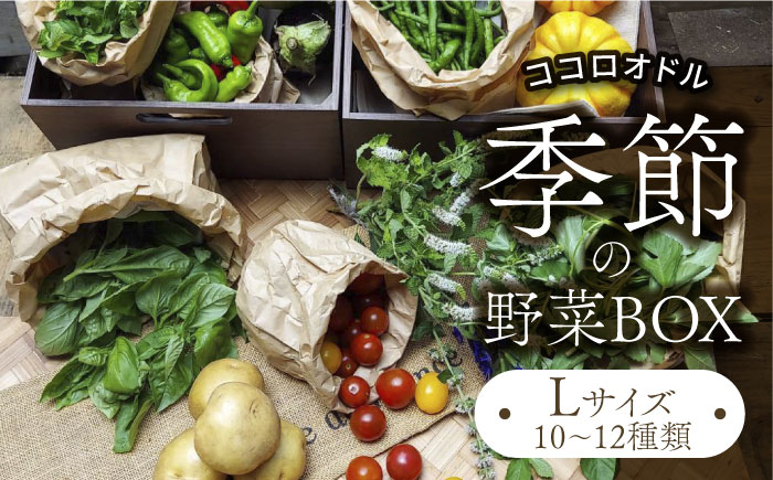 
季節の野菜BOX Lサイズ （10～12種類）【Farm Regalo】 [MDU003]
