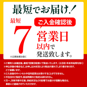 スーツケース 最短 7日以内配送 Brush 北海道 カラーパレット ハード 34L CABIN_No.5806177 蝦夷松カーキ キャリーケース 旅 キャリー かばん バッグ 国産 日本製 北海道