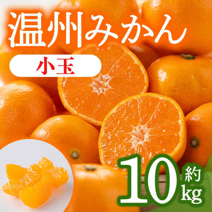 【ふるさと納税】＜先行予約！2025年10月上旬以降順次発送予定＞香川県産 温州みかん (約10kg/小玉)国産 果物 果実 くだもの フルーツ みかん 蜜柑 産地直送 ミニ 小さい ミカン オレンジ 柑橘 【man079】【Aglio nero】