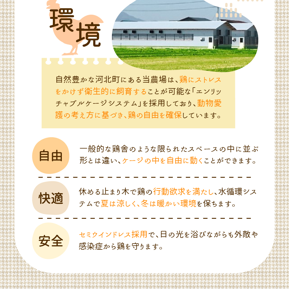 【毎月定期便】いではのもみじ紅50個入り（破損補償5個を含む）×6回