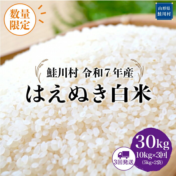 【ふるさと納税】数量限定！＜令和7年産米＞ 鮭川村 はえぬき 【白米】30kg定期便 （10kg×3回）＜配送時期選べます＞
