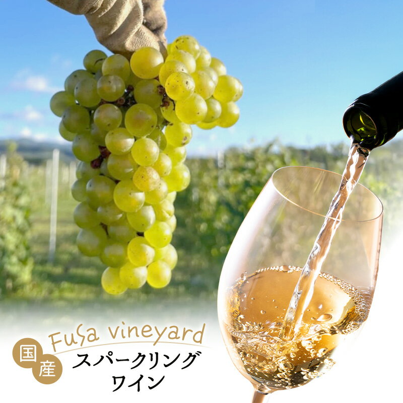 【ふるさと納税】北海道 芦別市 日本ワイン スパークリングワイン Polaris 2024 瓶内二次発酵 少量生産 FuSa vineyard 国産ワイン