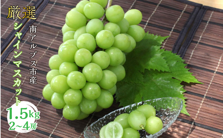 ＜2026年発送分先行予約＞厳選! シャインマスカット 1.5kｇ 2～4房 山梨県南アルプス市産 ALPBV006 |ｼｬｲﾝﾏｽｶｯﾄ 葡萄 ぶどう 山梨県 南アルプス市|