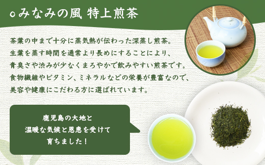 【お歳暮・のし付き】お茶の 「厚石園」 の特上深蒸し煎茶【 鈴子缶×2個付き 】 A3−96S【1461785】