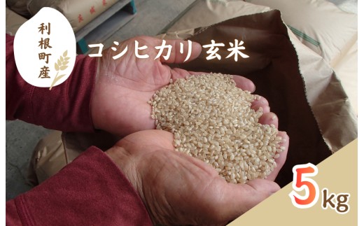 利根町産　コシヒカリ　玄米　5kg ／ 米 こめ コメ お米 おこめ コシヒカリ こしひかり 令和7年産 新米 玄米 ごはん ご飯 5kg 健康志向 茨城県 利根町 産地直送 送料無料