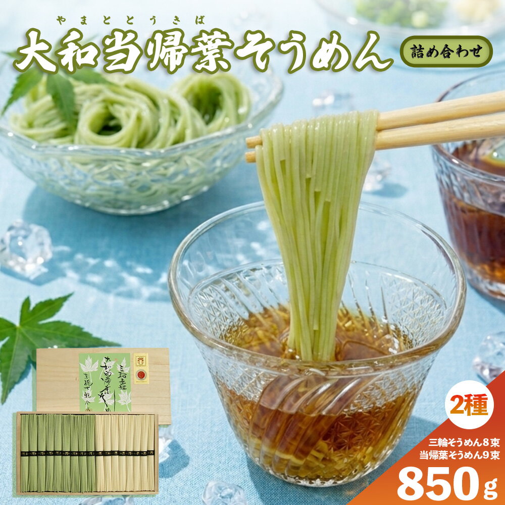 【ふるさと納税】大和当帰葉そうめん 三輪そうめん 詰め合わせ 850g／大和かぎろひ 麺類 素麺 そうめん 大和当帰葉 父の日 引っ越し お中元 贈答用 贈り物 暑中見舞い お土産贈答 奈良県 宇陀市