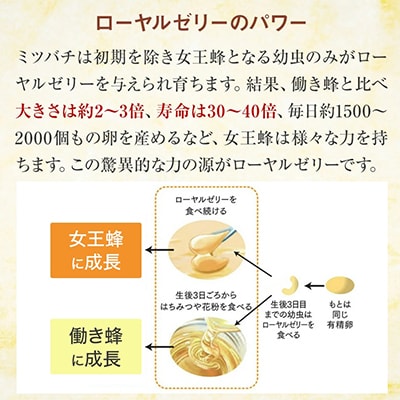 酵素分解ローヤルゼリー王乳の華 (991)【配送不可地域：離島・北海道・沖縄県】