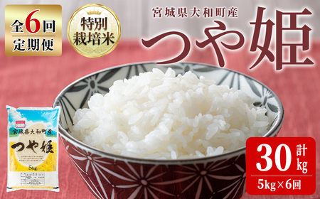 【令和8年産】＜6か月定期便＞特別栽培米 つや姫 5kg×6回(合計30kg) お米 おこめ 米 コメ 白米 ご飯 ごはん おにぎり お弁当 頒布会【農事組合法人若木の里】ta549