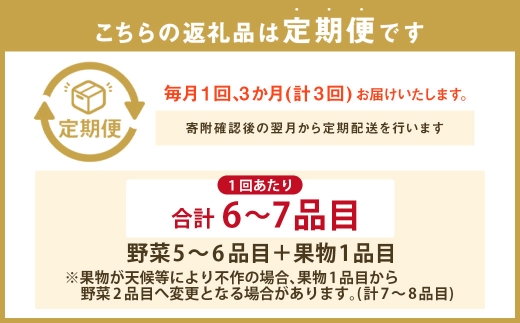 定番の野菜フルーツセット