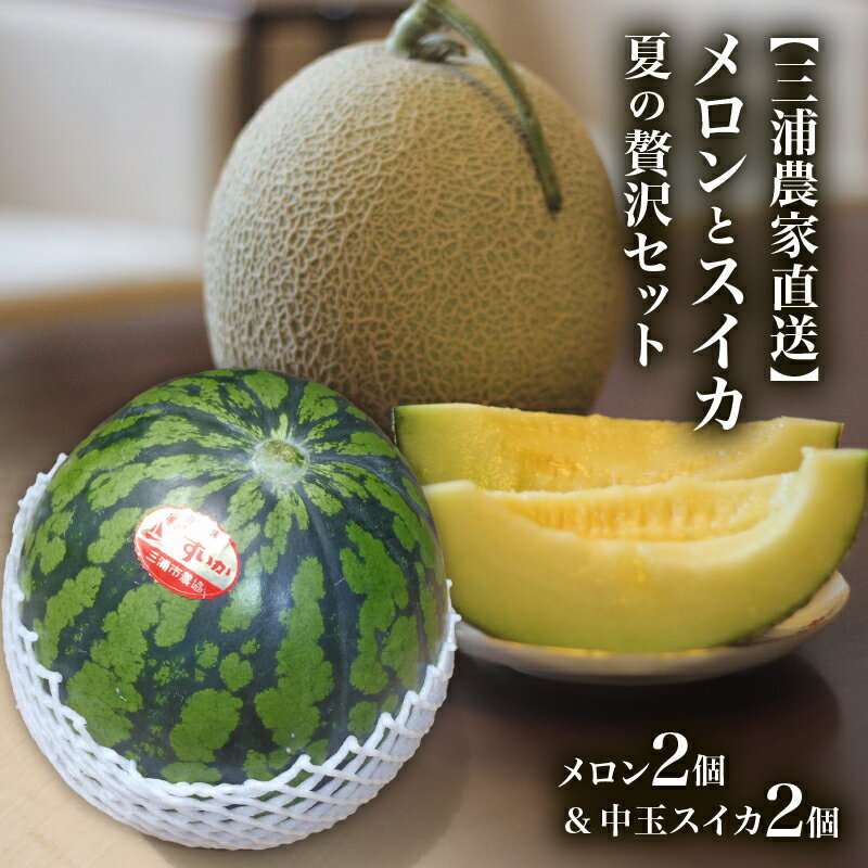 【ふるさと納税】 三浦農家直送 メロン と スイカ 夏の贅沢 セット 緑肉 すいか 西瓜 フルーツ 果物 果実 ジューシー 甘い 夏季 数量 期間 限定 おいしい デザート 国産 採れたて めろん 旬の果物 贈答 ヤマイチ農園 神奈川 三浦市 おすすめ ランキング プレゼント ギフト