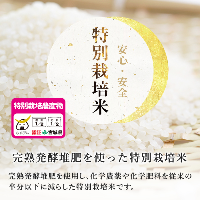 【令和6年産】＜6か月定期便＞特別栽培米 ササニシキ 14kg×6回(合計84kg) お米 おこめ 米 コメ 白米 ご飯 ごはん おにぎり お弁当 頒布会【農事組合法人若木の里】ta253