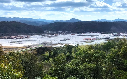 県下有数な益田の農業地帯から出荷された、その時々の旬の新鮮野菜をお届けします(^^)/