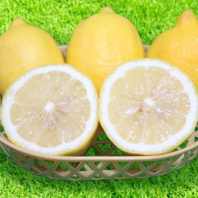 ふるさと納税 由良町 【2027年1月中旬より順次発送】和歌山県産　レモン　約1kg　サイズ混合 |  | 01