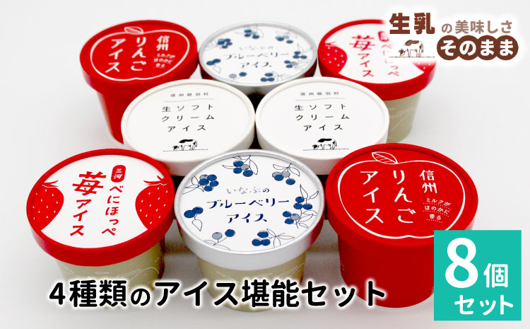 4種類のアイス堪能８個セット 80ml 100ml  5000円 アイスクリーム アイス ミルク いちご りんご ブルーベリー
