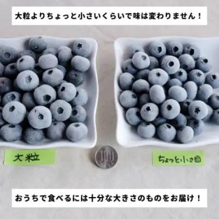 冷凍ブルーベリー ちょっと小さめ Mサイズ 1kg (500g×2個) 門前おくでらブルーベリー園【配送不可地域：離島】【1738476】