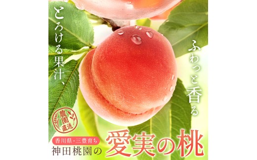 【ふるさと納税】 桃 産地直送 「神田桃園の愛実の桃」 約2kg [ フルーツ 名産品 桃 もも モモ 赤い桃 果物 くだもの お取り寄せグルメ 三豊市 20000 20, 返礼品 神田桃園 ] ※配送不可地域：北海道・沖縄県・離島