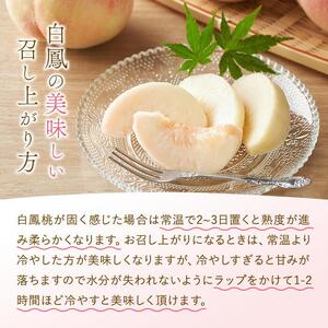 和歌山県産 白鳳 桃 11～15玉入り秀品［2026年6月下旬以降発送］【桃 モモ 果物 フルーツ くだもの 人気 国産】