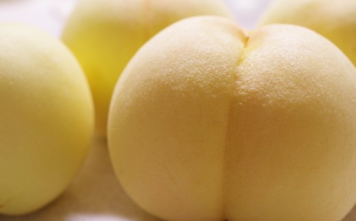 【訳アリ家庭用】清水白桃 3.6キロ