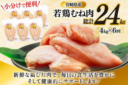 鶏肉 定期便 むね肉 若鶏 鶏むね肉 4kg 6回 総計24kg [ミヤケイフード 宮崎県 美郷町 31bp0015]