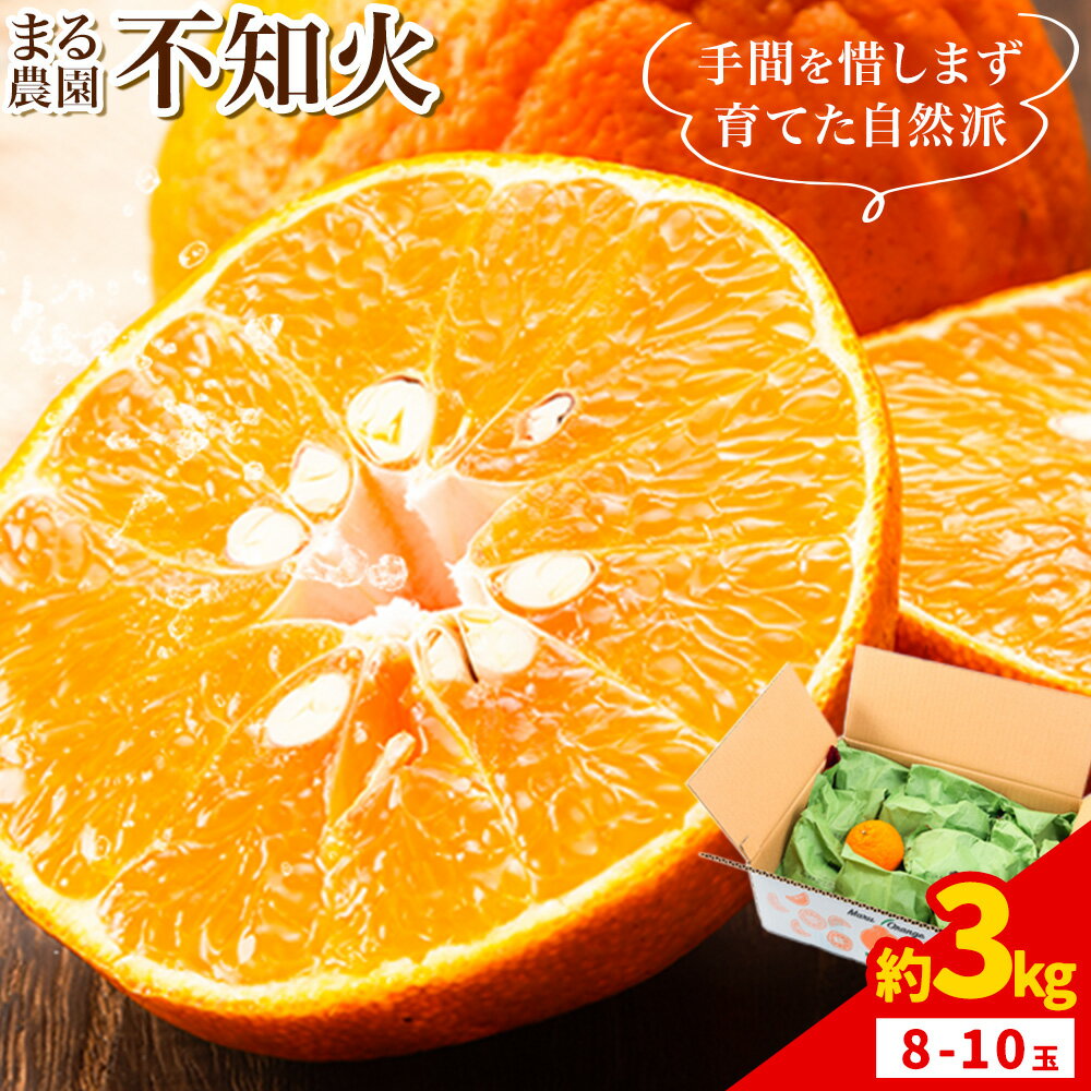 【ふるさと納税】先行予約 不知火 約3kg まる農園《2026年4月上旬～4月末頃出荷予定》熊本県 津奈木町 青果物 デコポン みかん しらぬい 果物 フルーツ 農薬不使用 化学肥料不使用