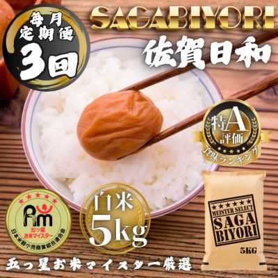 ふるさと納税 多久市 【毎月定期便】さがびより白米5kg(多久市)全3回