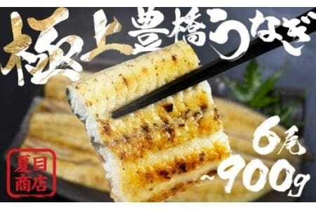 豊橋うなぎ 白焼 6尾 900g 夏目商店 うなぎ
