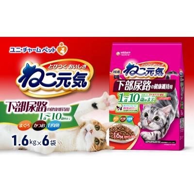 ふるさと納税 伊丹市 ねこ元気 下部尿路の健康維持用 1歳〜10歳頃まで まぐろ・かつお・白身魚入り[54030482]