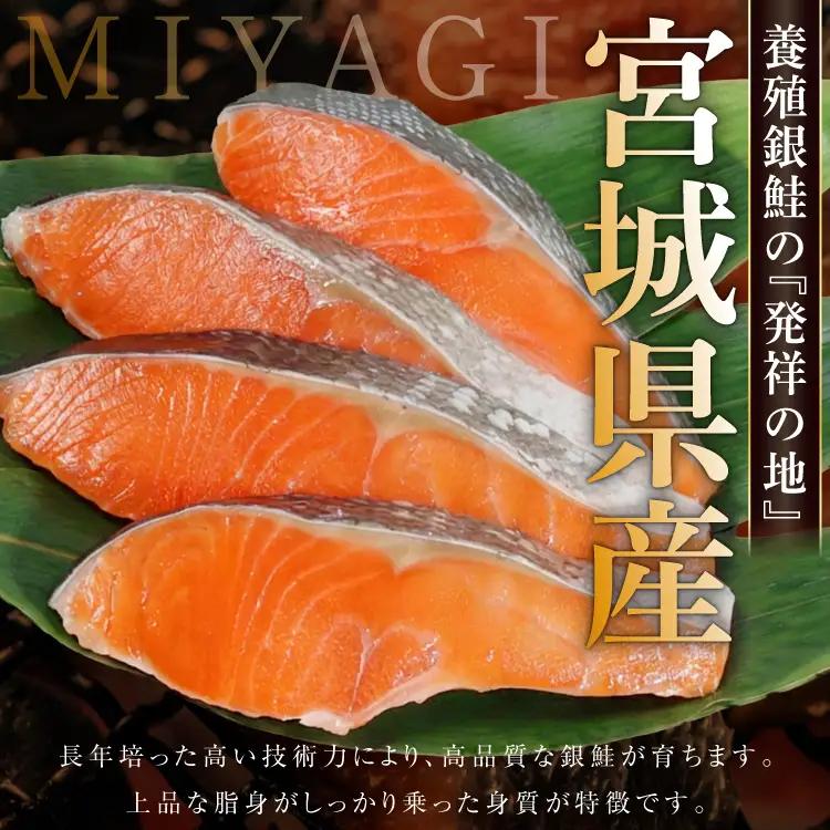 定期便 《6ヶ月連続お届け》 訳あり 宮城県産 熟成 銀鮭 切身 約2kg×6回 計12kg 