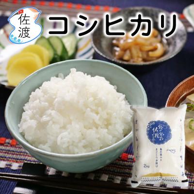 ふるさと納税 佐渡市 佐渡島産コシヒカリ 白米2kg 特別栽培米 令和7年産【食の宝島佐渡】
