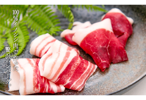 イノシシ肉のハンバーグ 4袋セット【ハンバーグ 75g×8個 2個入り×4袋 肉 猪肉 100%使用 加工品 冷凍食品 冷凍のまま調理可能 ソース不要 調味料不要 簡単調理 ジビエ 蒸し焼き 初心者に