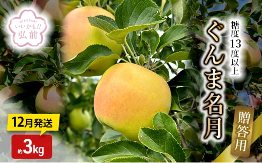 りんご 【 12月発送 】 糖度13度以上 ぐんま名月 贈答用 約 3kg 【 弘前市産 青森りんご 】