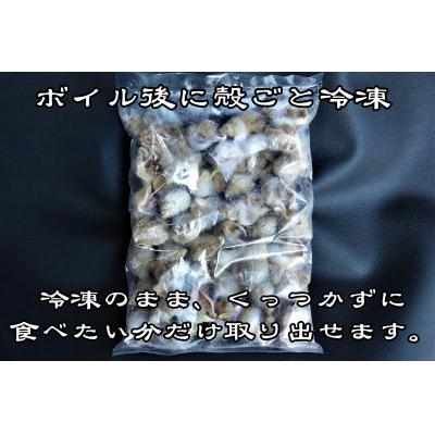 ふるさと納税 広尾町 北海道産　殻付き冷凍ボイルエゾバイツブ　1kg【エゾバイ　磯つぶ　イソツブ　つぶ貝】(0122) |  | 02
