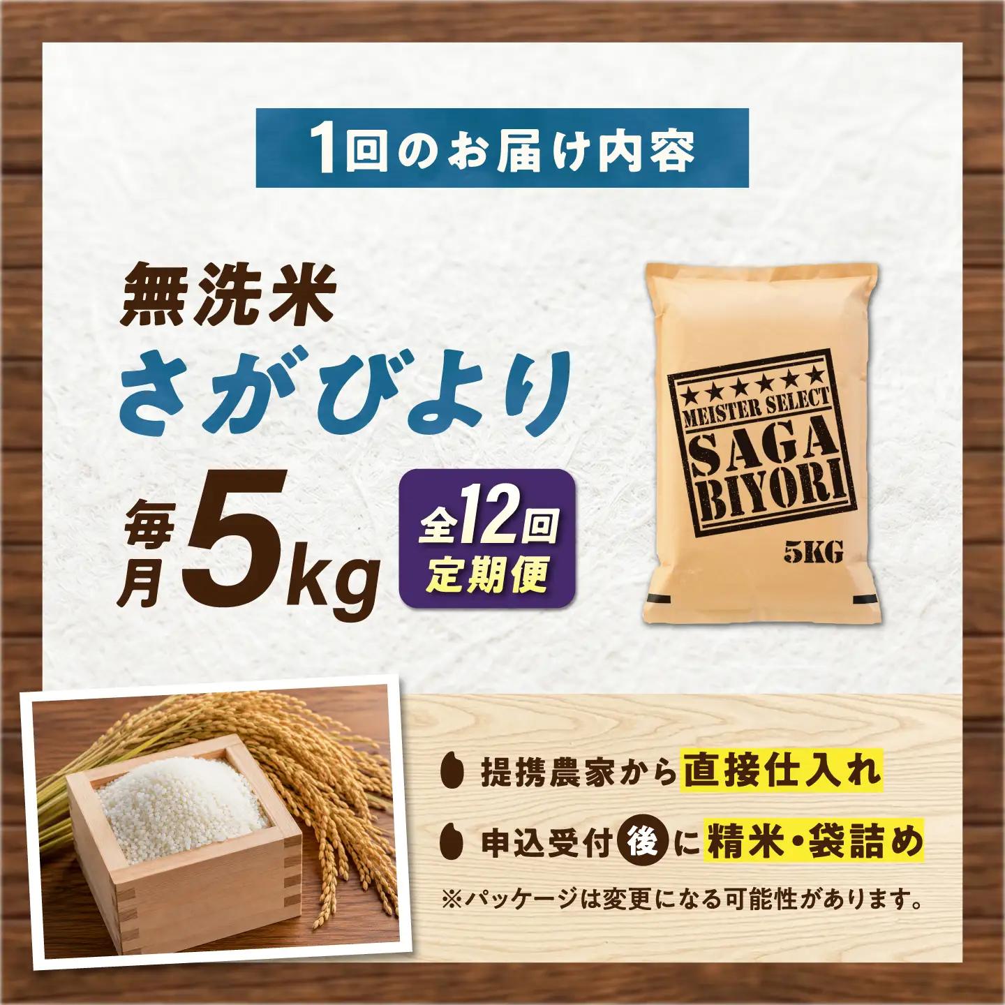 【12回定期便】 無洗米 さがびより 5kg（5kg×1袋） 無洗米 お米 白米 精米 佐賀県産 米 /大塚米穀店[UFE004]