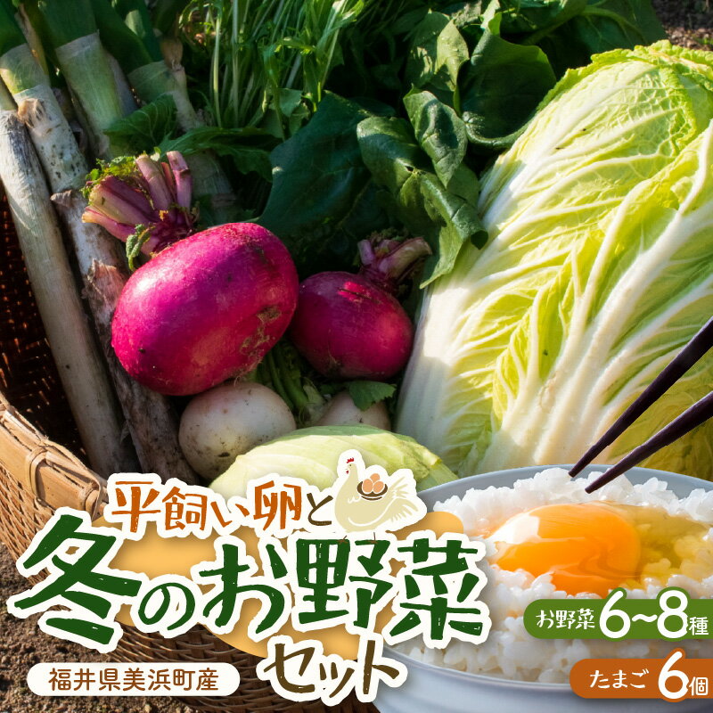 【ふるさと納税】【先行予約】お野菜セット 旬の冬野菜と平飼い卵のお楽しみボックス【2025年12月上旬順次発送予定】【野菜 卵 セット 新鮮野菜 詰め合わせ 農家直送 旬野菜 季節限定 旬の味覚 鍋 平飼い 卵焼き たまご】