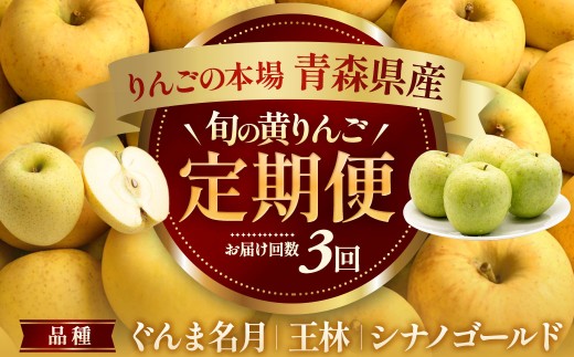 黄色りんご食べ比べ定期便 人気黄色りんご食べ比べ 3回 定期便：ぐんま名月（5kg）・王林（5kg）・シナノゴールド（5kg）【2026年産・先行予約】★2026年10月下旬～1月下旬頃まで発送予定★旬のりんご 青森県産 三戸町産りんご リンゴ 定期便 2026年産 旬 くだもの 果物 フルーツ 青森県三戸町 AK-26-089