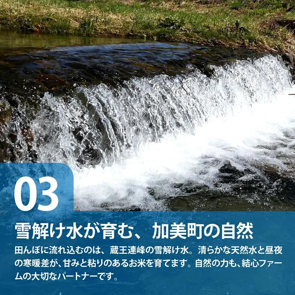 令和8年産 ひとめぼれ 無洗米5kg×6回定期便 ひとめぼれ