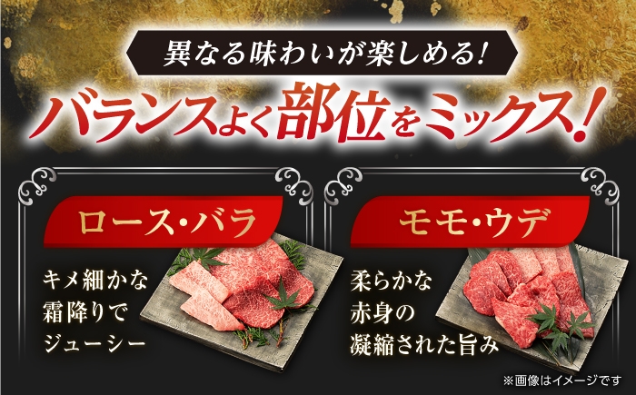 佐賀牛 牛肉 佐賀県産 黒毛和牛 焼肉 やきにく BBQ アウトドア A5