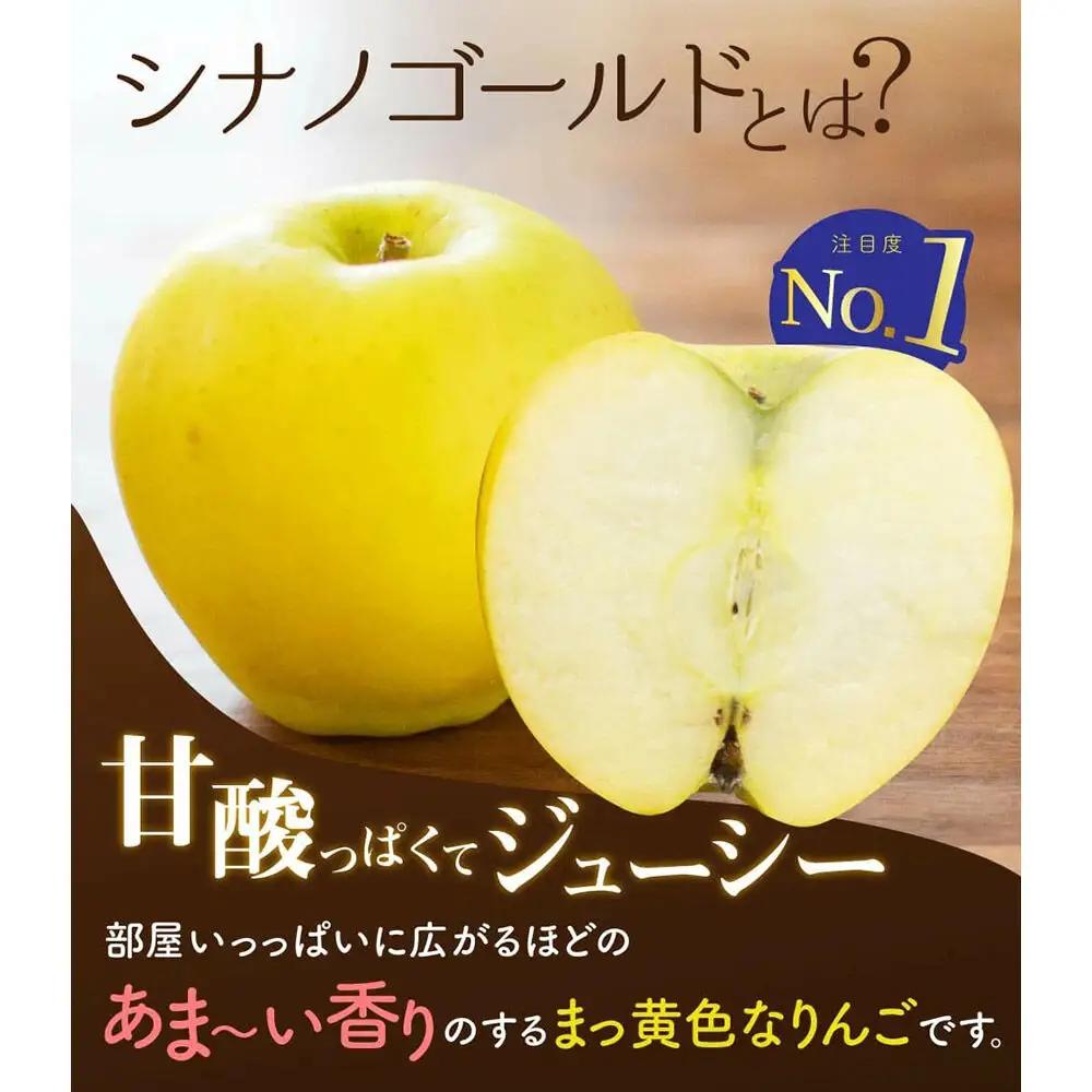 【26年10月下旬～発送】りんご シナノゴールド【贈答用】約3kg 内のし付き 青森県 弘前市