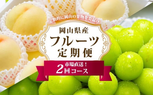フルーツ 定期便 2025年 先行予約 フルーツ王国 岡山 ベストセレクト 2回コース 桃 もも 葡萄 ぶどう マスカット 岡山県産 国産 果物 セット ギフト