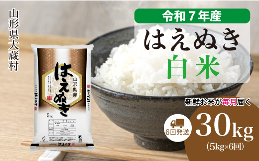 ＜令和7年産米＞ 令和8年2月下旬より発送 はえぬき【白米】30kg定期便 (5kg×6回)