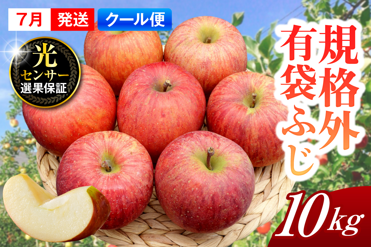 【2026年7月上旬発送】【規格外】 りんご 有袋ふじ 約10kg スマートフレッシュ?貯蔵 または CA貯蔵 【クール便】