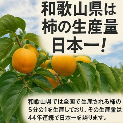 ふるさと納税 橋本市 【先行受付】柳フルーツ園の訳ありたねなし柿7.5kg |  | 03