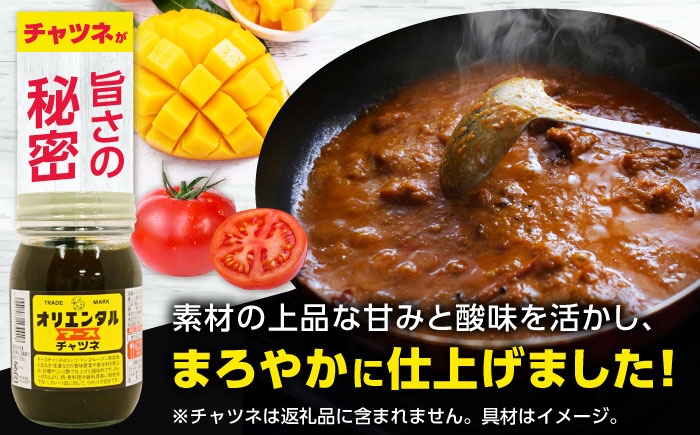ハヤシもあるでよ！オリエンタルマースカレーのバラエティ3種セット！スプーン付き！