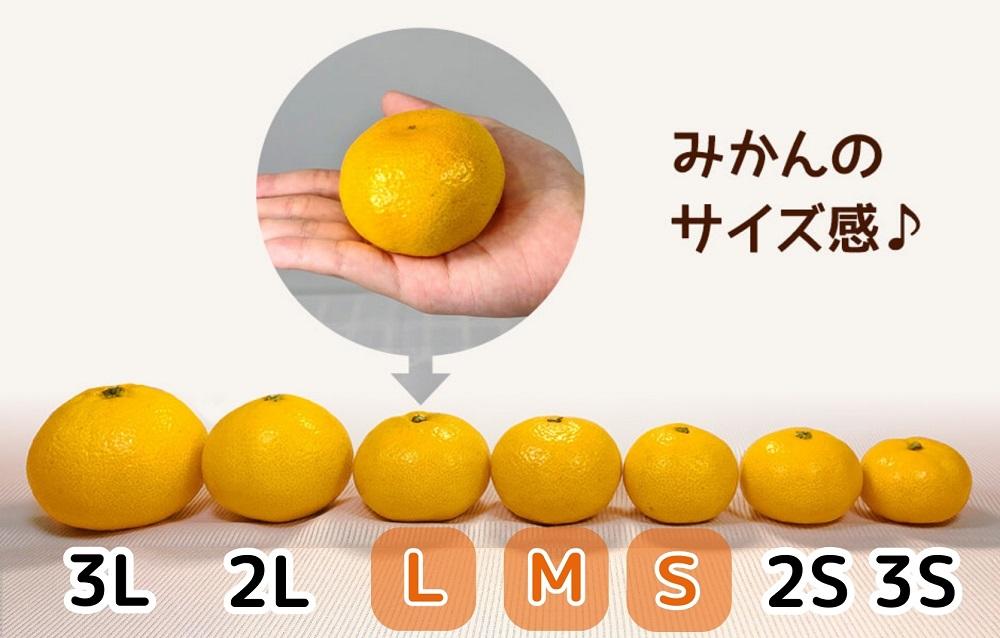 みかん 極早生 箱込 2.5kg (内容量約 2.3kg) S/M/Lサイズのいずれか 秀品 優品 混合 有田みかん 和歌山県産 【みかんの会】