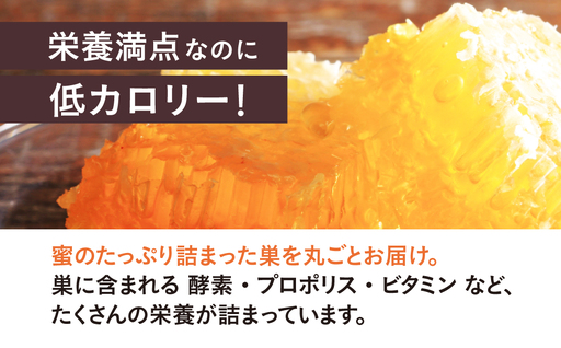 はちみつたっぷり巣蜜≪200g≫ 蜂蜜 はちみつ 国産 非加熱 純度100% 巣蜜 盛り上げ巣 常温 はちみつ ハチミツ 蜂蜜 ハニー 蜜切れ セット ハチミツセット 贈答 プレゼント 贈り物 貴重 