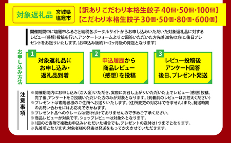 こだわり 本格 生 餃子 600個（約120人前） 味の匠 手作り 本格生餃子 味の匠 餃子 冷凍 国産 野菜餃子 豚肉餃子 こだわり ギョウザ 宮城県 塩竈市